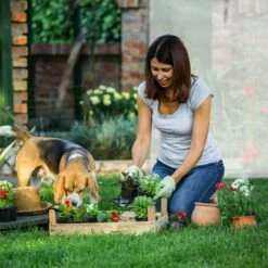 Relaxdays Serre De Jardin XL Serres à Tomates Avec Toit Rond Grande Serre Avec Porte H X L X P 170 X 200 X 82 Cm, Vert -France Serre de jardin Soldes 2022 10366727 4