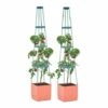 Waldbeck Tomato Tower Lot 2 Pots Plantes Tomates 25x150x25cm Tuteur Polypropylèn -France Serre de jardin Soldes 2022 12991085 1