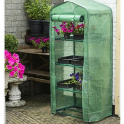 DIRECT FILET Mini Serre Botanique