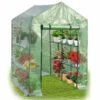COSTWAY SERRE DE JARDINAGE Mini Serre De Jardin 143x73x195cm Serre à Tomates Tente De Plante 4 étages Vert 2 COSTWAY SERRE DE JARDINAGE Mini Serre De Jardin 143x73x195cm Serre à Tomates Tente De Plante 4 étages Vert -France Serre de jardin Soldes 2022 17914475 1
