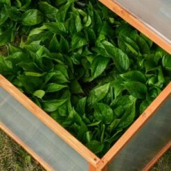 Outsunny Mini Serre De Jardin Serre à Tomates Dim. 90L X 80l X 58H Cm Toits Ouvrables Panneaux De Polycarbonate Bois Sapin Pré-huilé -France Serre de jardin Soldes 2022 30016500 5