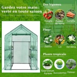 COSTWAY Serre De Jardin 3,9㎡avec Porte à Fermeture Enroulable Fenêtres D'Observation Bâche En PVC 8 Étagères 142 X 142 X 195 Cm Vert -France Serre de jardin Soldes 2022 30137462 3