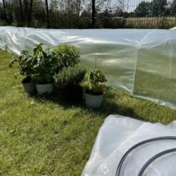 ALICE'S GARDEN 5 Tunnels De Forçage 3m² En Polyéthylène - Menthe. Pour Cultiver Fruits Et Légumes. Serres Rabattables En Accordéon - Transparent -France Serre de jardin Soldes 2022 33593773 4