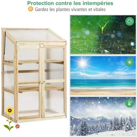 GOPLUS Serre En Bois Avec Vitrages Transparents Amovible En Polycarbonate, Avec Ouverture Inclinée, Serre Pour Plantes Et Légumes Pour Balcon Terrasse Jardin (60 X 45 X 100 Cm) 4 GOPLUS Serre En Bois Avec Vitrages Transparents Amovible En Polycarbonate, Avec Ouverture Inclinée, Serre Pour Plantes Et Légumes Pour Balcon Terrasse Jardin (60 X 45 X 100 Cm) – Image 2
