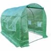 ALICE'S GARDEN Serre De Jardin Tunnel En Polyéthylène 6m². Serre Maraichère - Vert