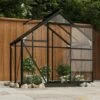 VidaXL Serre En Verre Anthracite 155x103x191 Cm Aluminium - Anthracite -France Serre de jardin Soldes 2022 49982264 1