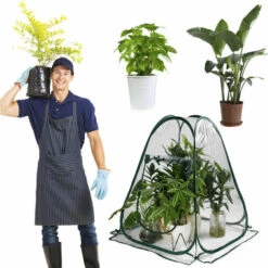 Serres De Culture En PVC Pour Intérieur Ou Extérieur Mini Serre De Jardin, Petite Couverture Portable Pour Plantes De Jardin 70 X 70 X 80 Cm,Starlight 11 Serres De Culture En PVC Pour Intérieur Ou Extérieur Mini Serre De Jardin, Petite Couverture Portable Pour Plantes De Jardin 70 X 70 X 80 Cm,Starlight -France Serre de jardin Soldes 2022 51474987 5
