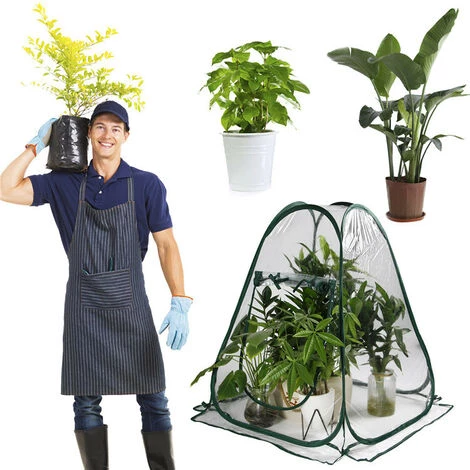 Serres De Culture En PVC Pour Intérieur Ou Extérieur Mini Serre De Jardin, Petite Couverture Portable Pour Plantes De Jardin 70 X 70 X 80 Cm,Starlight 7 Serres De Culture En PVC Pour Intérieur Ou Extérieur Mini Serre De Jardin, Petite Couverture Portable Pour Plantes De Jardin 70 X 70 X 80 Cm,Starlight – Image 5