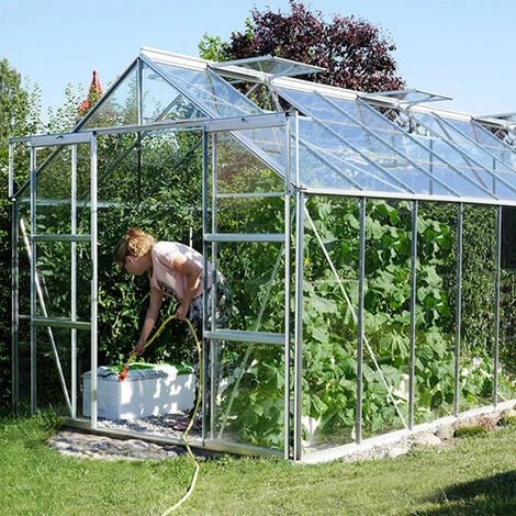 LAMS Serre En Verre Trempé Uranus - 12.90 M², Couleur Vert - Vert 3 LAMS Serre En Verre Trempé Uranus - 12.90 M², Couleur Vert - Vert