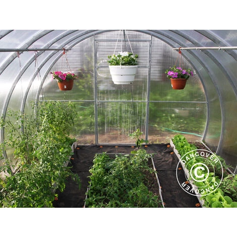 DANCOVER Serre En Polycarbonate, Strong NOVA 12m², 3x4m, Silver - Argenté 7 DANCOVER Serre En Polycarbonate, Strong NOVA 12m², 3x4m, Silver - Argenté – Image 5