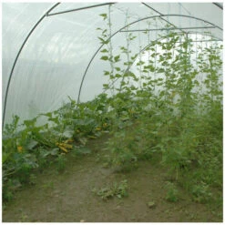 ATOUT LOISIR Serre Tunnel Deschamps Pieds Droits Larg 3 M Pas à 2 M, L 4 M, Type 200 Microns Incolore Plasticlair , Façade Pas De Façade Ni De Porte, Support De Culture Non 10 ATOUT LOISIR Serre Tunnel Deschamps Pieds Droits Larg 3 M Pas à 2 M, L 4 M, Type 200 Microns Incolore Plasticlair , Façade Pas De Façade Ni De Porte, Support De Culture Non -France Serre de jardin Soldes 2022 53108785 4