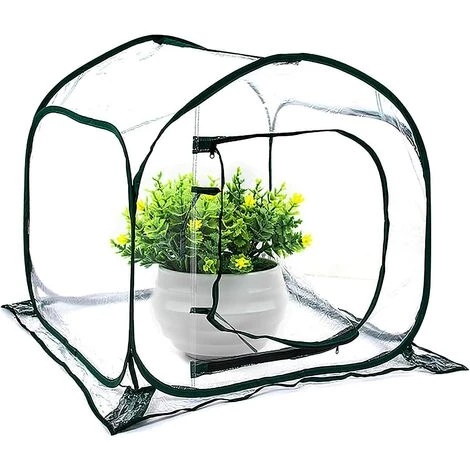 SUPERMARKET Mini Serre Pop Up Grow House, Couverture De Serre Intérieure Extérieure En PVC, Petit Abri De Fleurs De Jardin Portable - 80 X 80 X 80 Cm,Suoperma,vert Foncé + Transparent 5 SUPERMARKET Mini Serre Pop Up Grow House, Couverture De Serre Intérieure Extérieure En PVC, Petit Abri De Fleurs De Jardin Portable - 80 X 80 X 80 Cm,Suoperma,vert Foncé + Transparent – Image 3