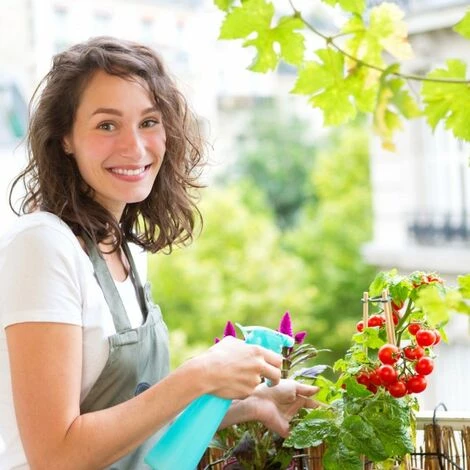 JARDIBRICODECO Serre De Jardin Transparente 5 JARDIBRICODECO Serre De Jardin Transparente – Image 3