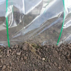 RONDY Serre Tunnel De Forçage 3.7 M -France Serre de jardin Soldes 2022 57136592 4