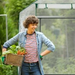MACARON Serre De Jardin Serre Tomates Étagères Tunnel Tente Plantes Hxlxp: 190x143x143cm, Transparent Film De Serre à Capot Transparent PEPVC Sans Cadre LO-Ron -France Serre de jardin Soldes 2022 57139640 5