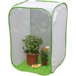 Fei Yu Insecte Cage Maille Papillon Habitat Grand Maille Filet Cage Plante Serre Pop Up Transparent Imperméable Culture Grow Tente Fermeture Modèle - As Image Show, L -France Serre de jardin Soldes 2022 57338208 5