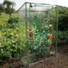 INLIFE Nature Serre à Tomates Avec Fermeture éclair Et Attaches Serre De Jardin PVC 100x50x150 Cm -France Serre de jardin Soldes 2022 57884144 1
