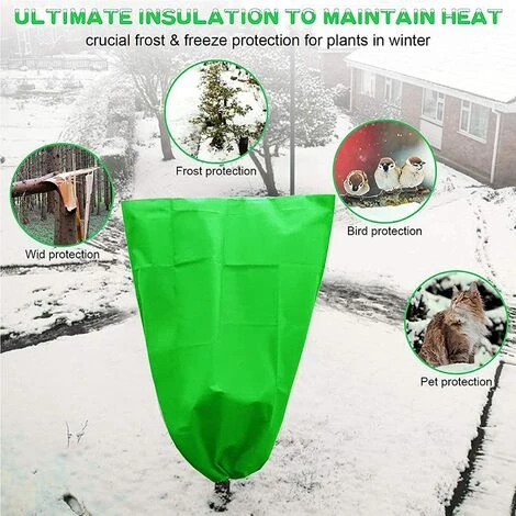 CHANCEY Sunshine Smile Pop-up Serre,Tente Serre,Mini Serre Avec Cadre Et Couvercle, Mini Serre,Tente Pour Serre Pliable, Petite Serre,Housse De Jardinage Portable (60x80).SEMAket 5 CHANCEY Sunshine Smile Pop-up Serre,Tente Serre,Mini Serre Avec Cadre Et Couvercle, Mini Serre,Tente Pour Serre Pliable, Petite Serre,Housse De Jardinage Portable (60x80).SEMAket – Image 3