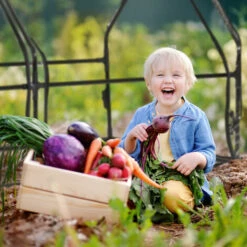 Relaxdays Serre De Jardin 2 Portes, Bâche En PVC, Pour Vos Plantations Précoces, HxLxP : 92 X 180 X 92 cm; Transparent -France Serre de jardin Soldes 2022 61314003 4