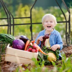 Relaxdays Serre De Jardin, Large Porte, Bâche PVC Pour Vos Plantations Précoces, HxLxP : 94 X 180 X 140 Cm, Transparent -France Serre de jardin Soldes 2022 61314043 4