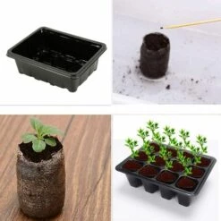 HKLFFJA Willkey Lot De 5 Bac à Semis, Mini Serre Pour Semis, Plateaux De Culture Avec Couvercle, Propagateur Jardin Pour Démarrage Et Croissance Semence, Germination Serre Durables - 60 Cellules 9 HKLFFJA Willkey Lot De 5 Bac à Semis, Mini Serre Pour Semis, Plateaux De Culture Avec Couvercle, Propagateur Jardin Pour Démarrage Et Croissance Semence, Germination Serre Durables - 60 Cellules -France Serre de jardin Soldes 2022 63868840 3