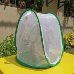 MONLY Mini Tente De Serre Végétale Avec Couverture Transparente Protégée Plante Cultiver La Maison, Portable Pliant Jardinage Plante Couverture Protecteur Net Observation Insecte Cage Papillon Cage -France Serre de jardin Soldes 2022 64453547 5