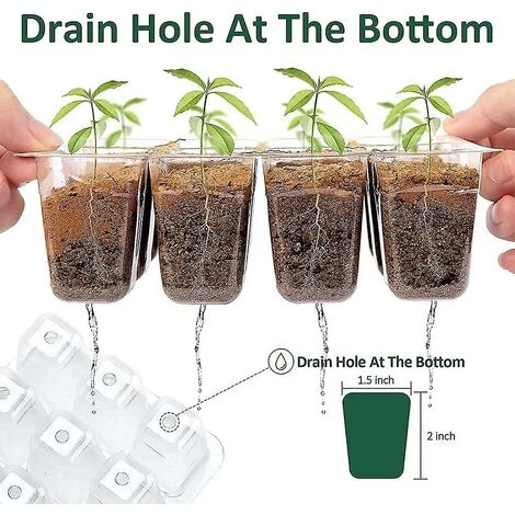 Cisea Mini Serre Pour Plantes, Plateau De Semis Intérieur 10 Pièces 120 Cellules Avec Couvercles Surélevés, Plateau De Semis, 20 étiquettes, 2 Outils 6 Cisea Mini Serre Pour Plantes, Plateau De Semis Intérieur 10 Pièces 120 Cellules Avec Couvercles Surélevés, Plateau De Semis, 20 étiquettes, 2 Outils – Image 4